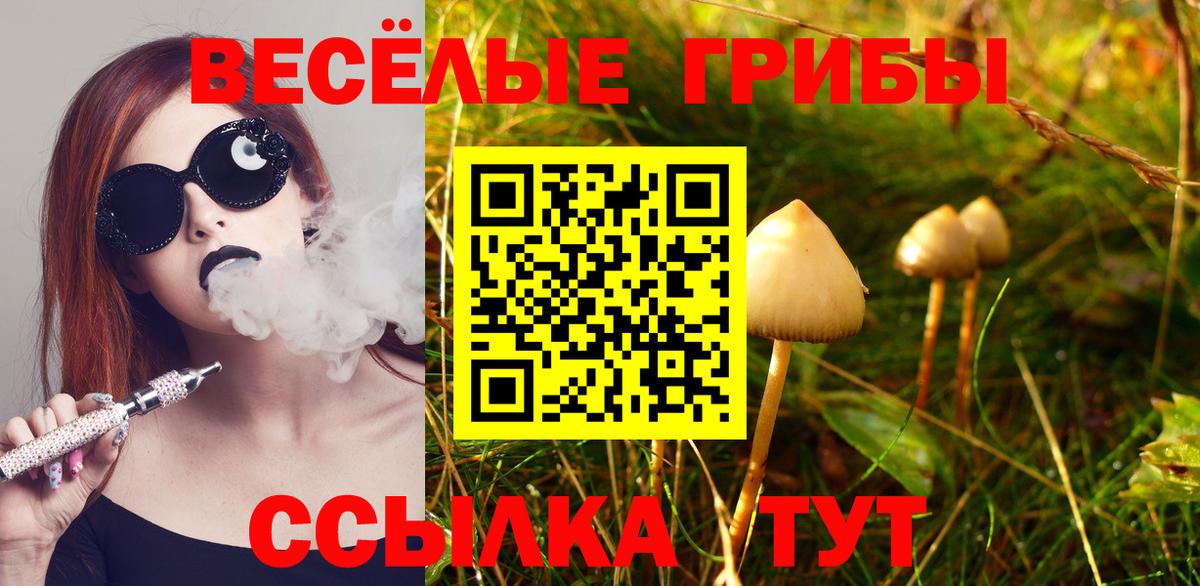 Галлюциногенные грибы мицелий  где купить наркотик  Буйнакск  Вход с VPN 